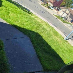 grass cutting by Diego Mojica Lawn Care reviewed on May 8, 2024
