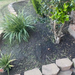 Flower Bed Weeding by Monarch Landscaping reviewed on January 20, 2026