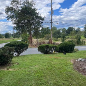 Bush Trimming by Jg landscape reviewed on November 9, 2025