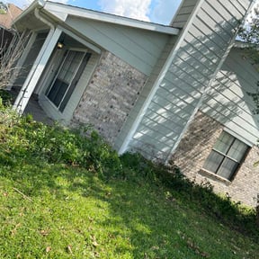 Bush Trimming by The guy property maintenance reviewed on August 15, 2025