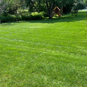 lawn maintenance by K-Cuts Mowing reviewed on July 3, 2025