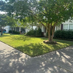 lawn care by 25 And Up Cuts More LLC reviewed on July 24, 2025