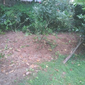 Flower Bed Weeding by Elliotts lawn care reviewed on August 19, 2025