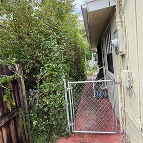 Bush Trimming by Maria Giri reviewed on August 15, 2025