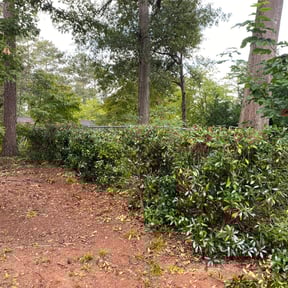 Bush Trimming by Ard's maintenance and lawn care reviewed on August 19, 2025