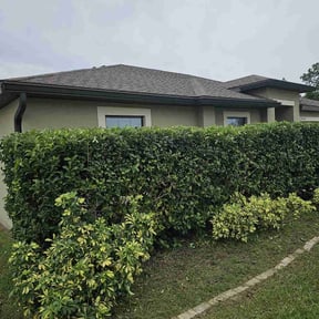 Bush Trimming by LoneStar Mow Pros reviewed on August 20, 2025