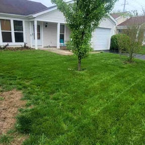 Bush Trimming by Peytella landscaping reviewed on August 16, 2025