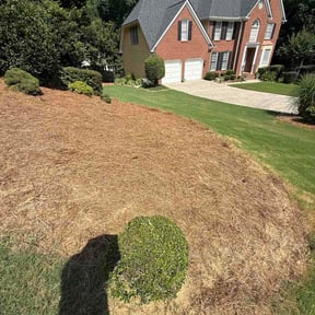 Flower Bed Weeding by Budget Cut Lawn Service reviewed on July 9, 2026