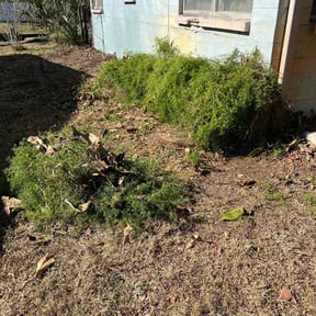 Bush Trimming by A&S Landscaping and Snow Removal reviewed on August 21, 2025