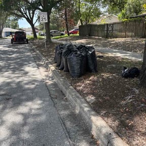 Leaf Removal by Type A Lawn Guy reviewed on July 1, 2026