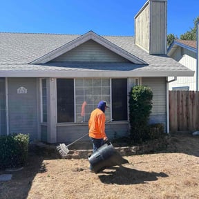 Bush Trimming by THE BURGS BEST LAWN SERVICE INC reviewed on August 21, 2025