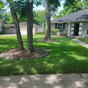 yard maintenance by Flowers Transportation &amp; Maintenance LLC reviewed on December 18, 2025