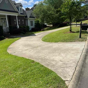 grass cutting by Palmetto Land Service reviewed on June 12, 2025