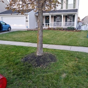 Leaf Removal by Most Wanted Property Services reviewed on August 18, 2025