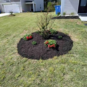 Mulching by N&r lawncare reviewed on August 21, 2025