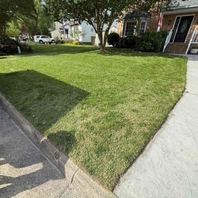 lawn service by Unknown reviewed on July 24, 2025