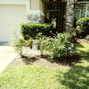 Bush Trimming by The Boot Lawn Care reviewed on August 20, 2025