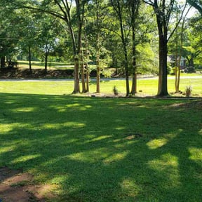 turf care by Lawnwan reviewed on June 17, 2025