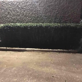 Bush Trimming by Maltese Landscapes  reviewed on October 22, 2025