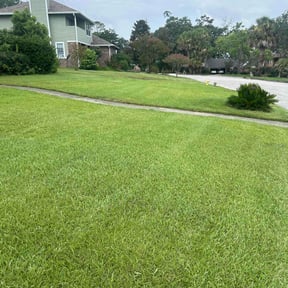 turf maintenance by Scott Bensing Lawn Care reviewed on August 19, 2025