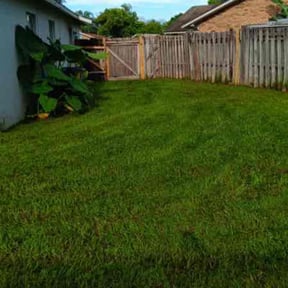 lawn service by Fazal Management Group LLC reviewed on May 3, 2024