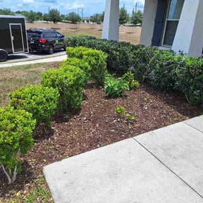 Flower Bed Weeding by Bahnick services reviewed on June 7, 2026