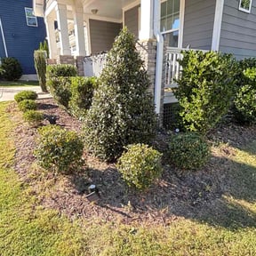 Bush Trimming by Beautiful Lawn service reviewed on October 19, 2025