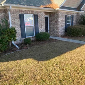 Bush Trimming by Looney's Luna Lawn Service reviewed on December 16, 2025