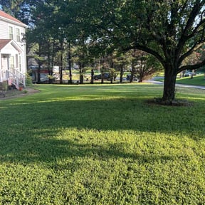 residential landscaping by STACEY'S LAWN MAINTENANCE &
PRESSURE WASHING SERVICES LLC reviewed on August 16, 2025