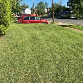 lawn care services by Daniel&#039;s lawn care service LLC reviewed on August 19, 2025