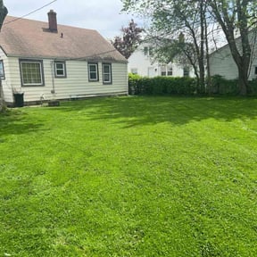yard work by WLQ Solutions reviewed on August 15, 2025