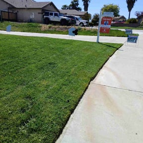 gardening service by LNK Lawn and Pest Maintenance reviewed on May 21, 2024