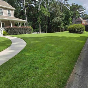 yard maintenance by Qclawncutter reviewed on August 20, 2025