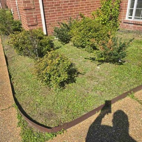 Flower Bed Weeding by Nature's Trim reviewed on March 22, 2026