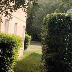 Bush Trimming by Mobile Lawns reviewed on June 10, 2023