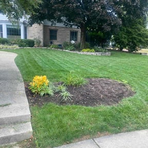 landscaping by Copperfield Lawn reviewed on August 17, 2025