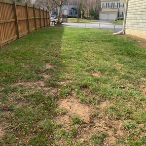 Leaf Removal by Improved lawns reviewed on September 27, 2025