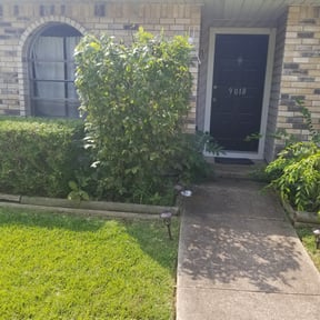 Bush Trimming by Shawn’s mowing reviewed on August 16, 2025