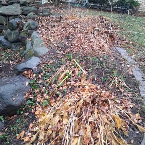 Leaf Removal by Gary's Lawn Service reviewed on November 18, 2025