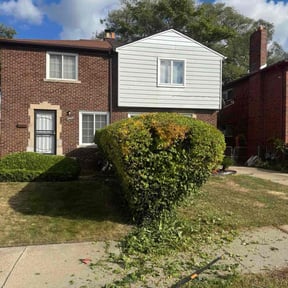 Bush Trimming by Elite Lawn Care reviewed on January 7, 2026