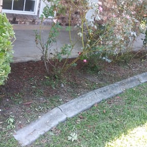 Flower Bed Weeding by Crispy Cuts reviewed on August 16, 2025