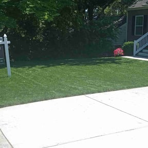 landscape maintenance by Superior lawn maintenance reviewed on August 15, 2025