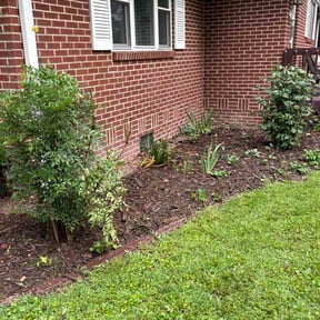 Bush Trimming by Benchmark Contracting Services LLC reviewed on August 26, 2026