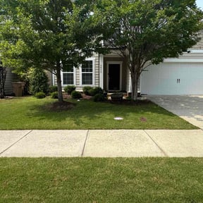 landscape maintenance by Tru reviewed on August 20, 2025