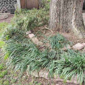 Leaf Removal by Supreme Lawn Care reviewed on July 1, 2026
