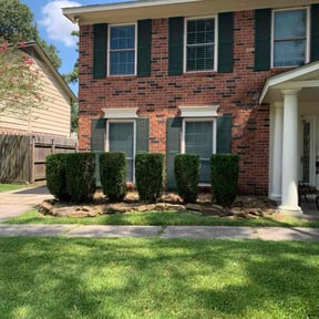 turf care by Whittingtons home development reviewed on August 10, 2023