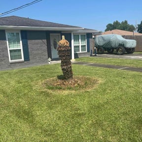 Bush Trimming by &quot;The LawnMower Man&quot; Lawn Care Service reviewed on November 22, 2025