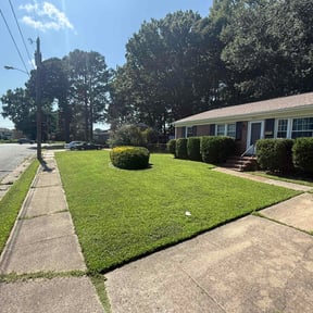 turf care by Champ&#039;s Next Level Landscaping LLC reviewed on August 19, 2025