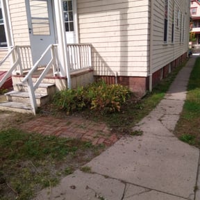 Flower Bed Weeding by Brushod Goodrum reviewed on August 21, 2025