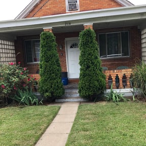 Bush Trimming by Joe's Tree & Lawn Services reviewed on August 15, 2025